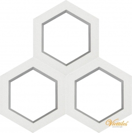 VCBS-010-1000 Hexagon